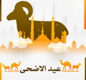 احداث موسمية 