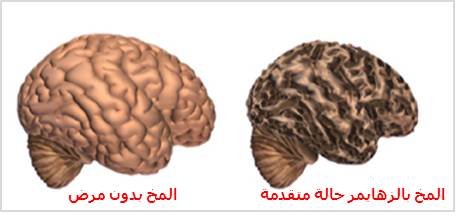 الثقافة والفنون