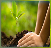 خدمات بيئية 