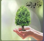 نبذة عن البيئة 